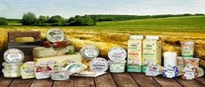 Brot, Brötchen und Kuchen Brot, Brötchen und Kuchen
